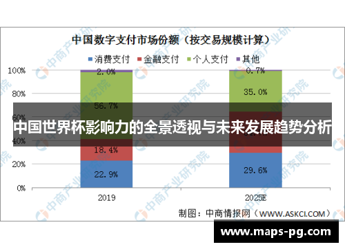 中国世界杯影响力的全景透视与未来发展趋势分析