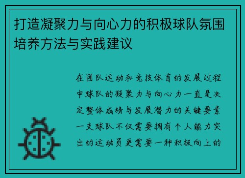 打造凝聚力与向心力的积极球队氛围培养方法与实践建议