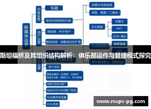 斯坦福桥及其组织结构解析：俱乐部运作与管理模式探究