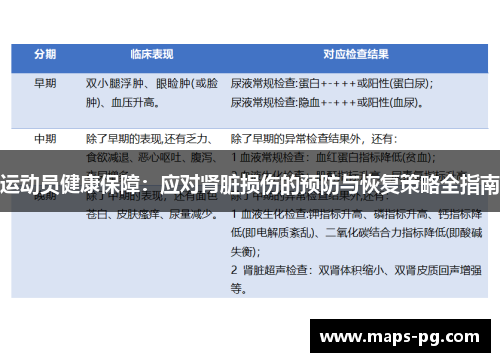 运动员健康保障：应对肾脏损伤的预防与恢复策略全指南